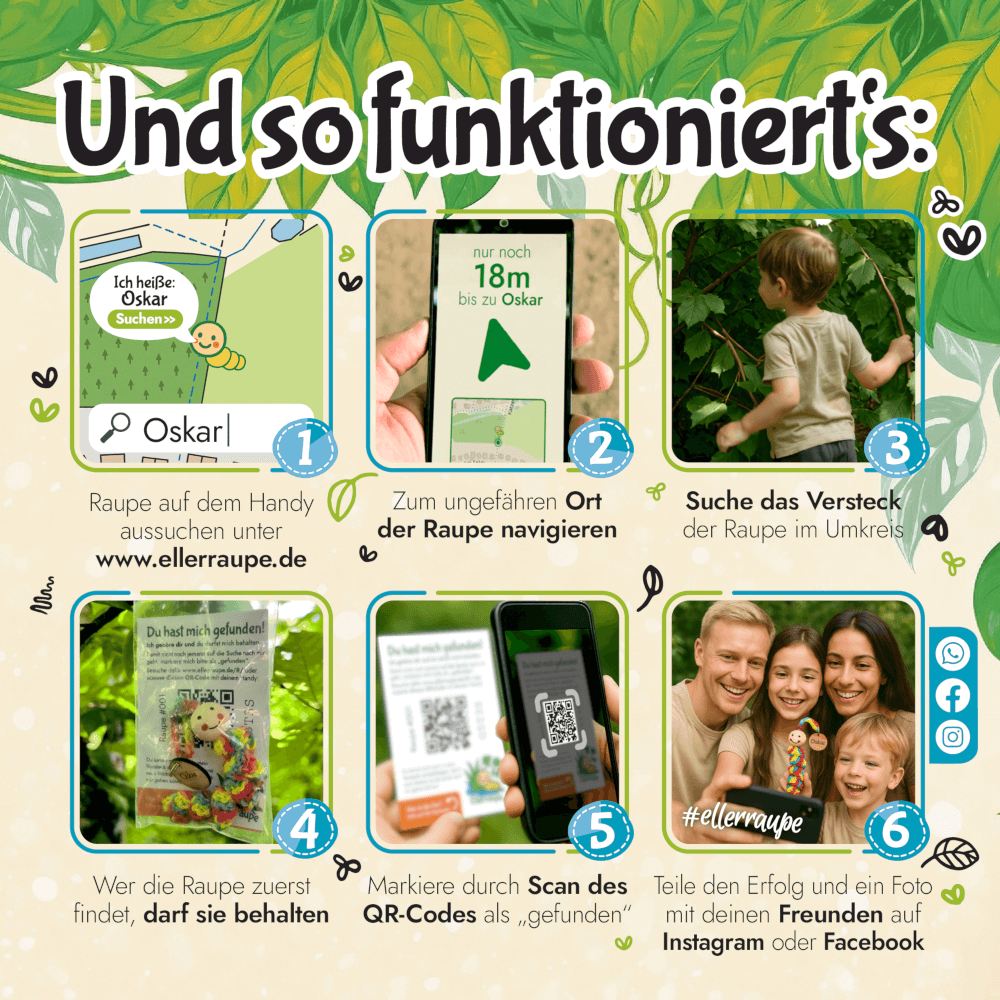 6 Schritte zur Raupensuche